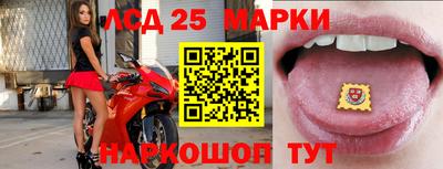 бошки Сланцы