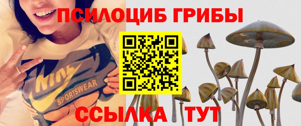Новороссийск  Псилоцибиновые грибы Psilocybine cubensis  сколько стоит  Вход с VPN 